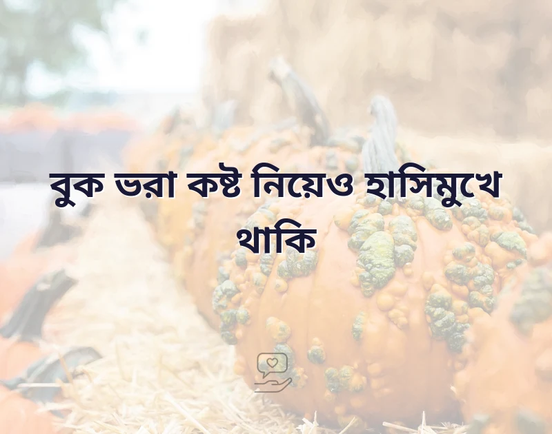 বুক ভরা কষ্টের ছন্দ