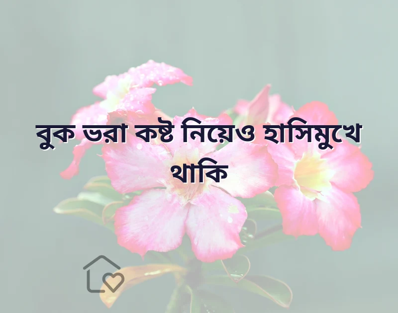 বুক ভরা কষ্টের এসএমএস
