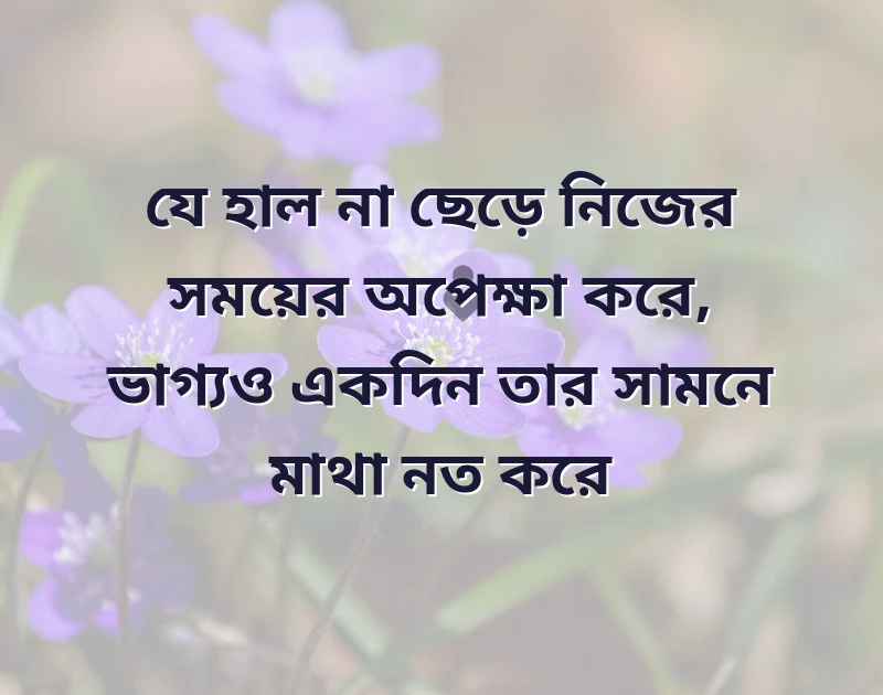 পছন্দের একটি ছবি