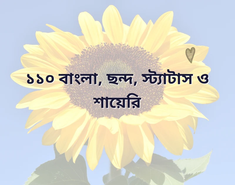 caption বাংলা
