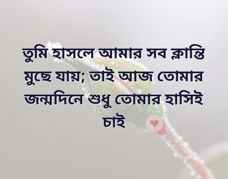 দারুণ একটি ছবি