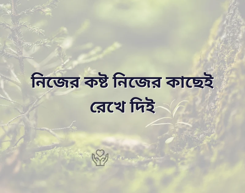 সুন্দর একটি ছবি