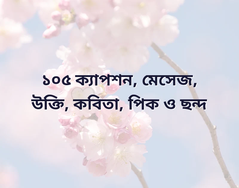 ক্যাপশন