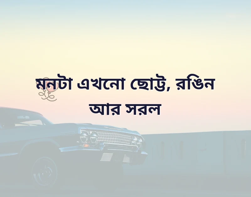 পছন্দের একটি ছবি