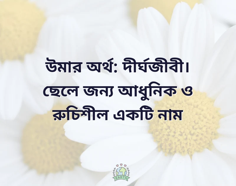 ছেলে বাবুদের ইসলামিক নাম