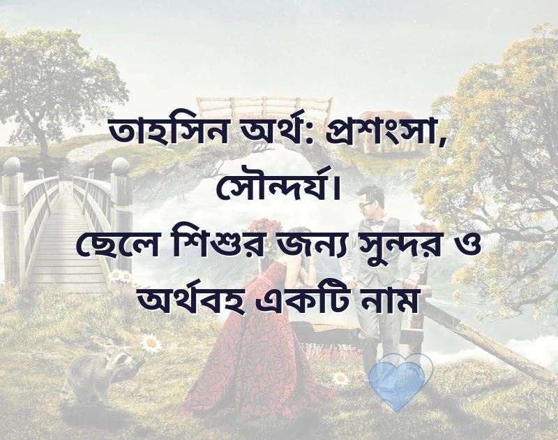 সুন্দর একটি ছবি