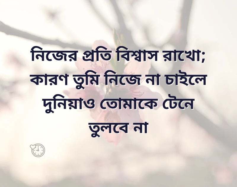 মন ছুঁয়ে যাওয়া ছবি