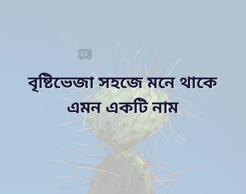 ছেলেদের আইডির নাম