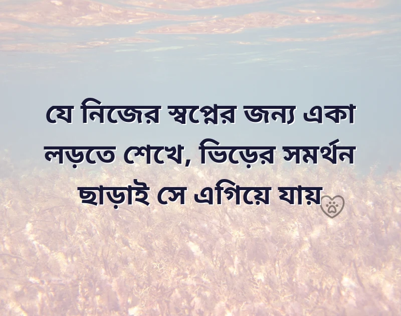 পছন্দের একটি ছবি