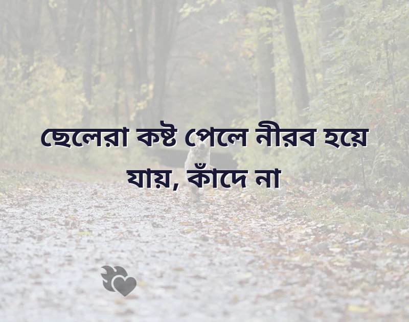 পছন্দের একটি ছবি