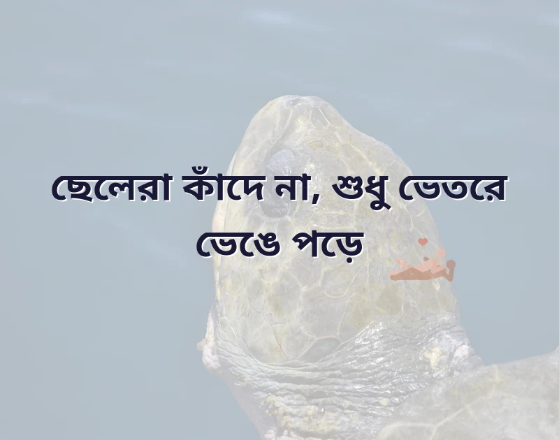 ছেলেদের কষ্টের স্ট্যাটাস