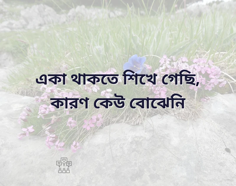 শেয়ার করার মতো ছবি