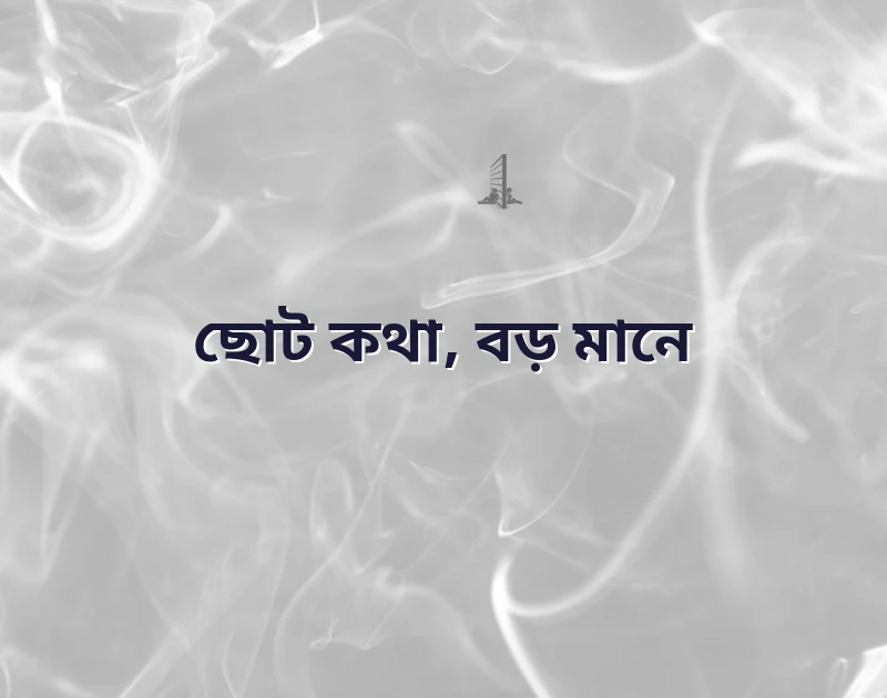 ছোট ক্যাপশন