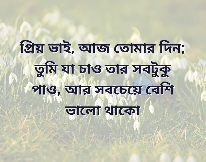 choto vai birthday wish bangla