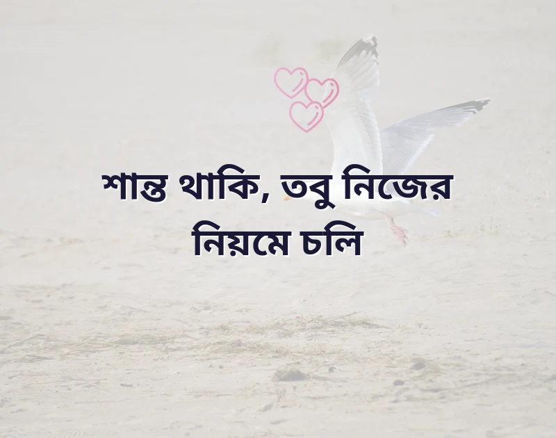মন ছুঁয়ে যাওয়া ছবি