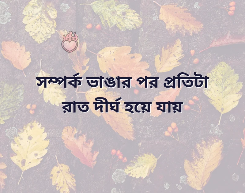 পছন্দের একটি ছবি