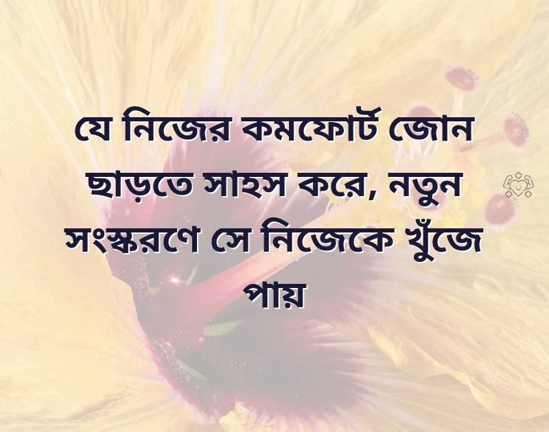 পছন্দের একটি ছবি