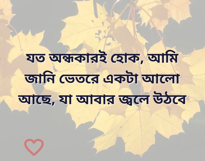 মন ছুঁয়ে যাওয়া ছবি