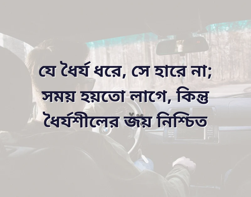 মন ছুঁয়ে যাওয়া ছবি