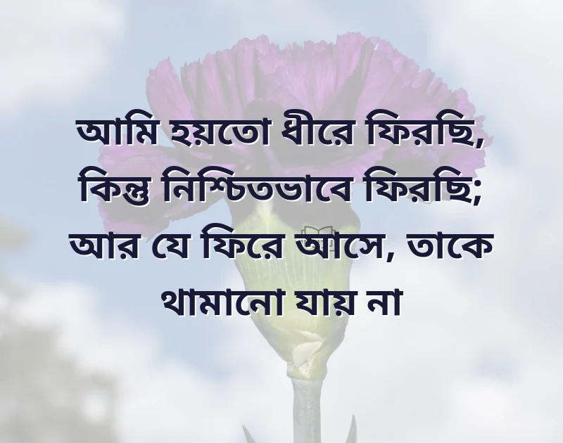 মন ছুঁয়ে যাওয়া ছবি