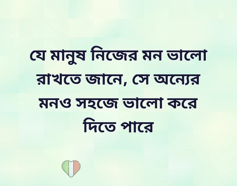 dp new