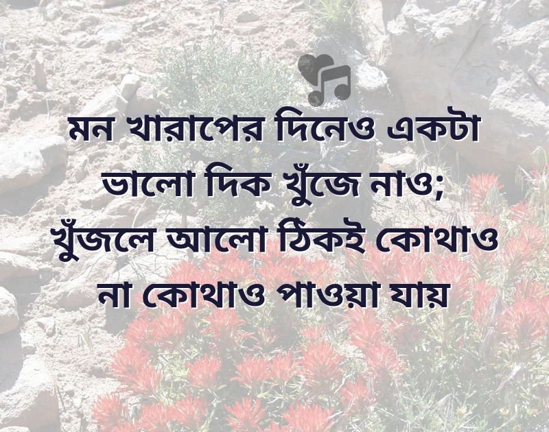 dp photo