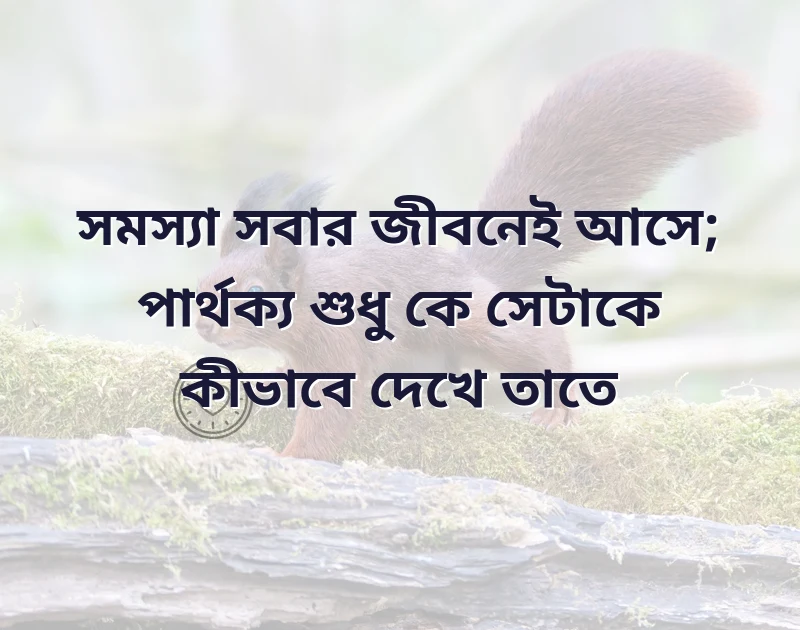 dp whatsapp