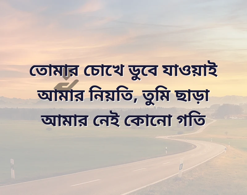 শেয়ার করার মতো ছবি