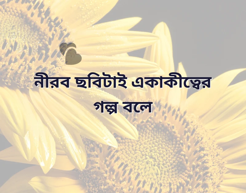 মন ছুঁয়ে যাওয়া ছবি
