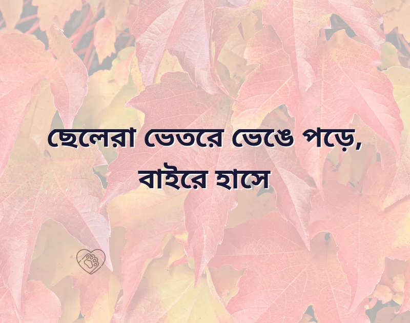 আকর্ষণীয় একটি ছবি