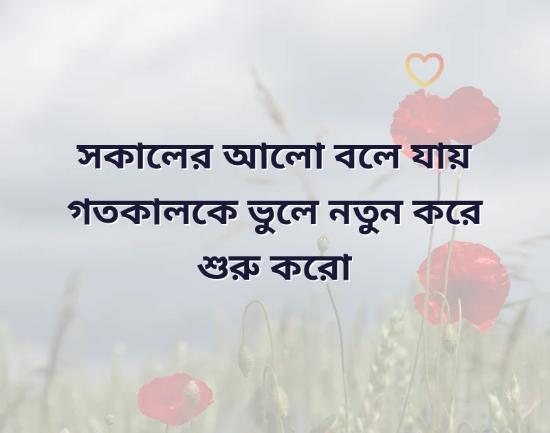 মন ছুঁয়ে যাওয়া ছবি