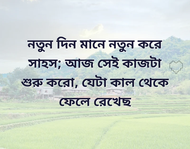 শেয়ার করার মতো ছবি
