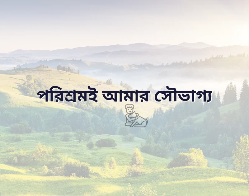 সুন্দর একটি ছবি