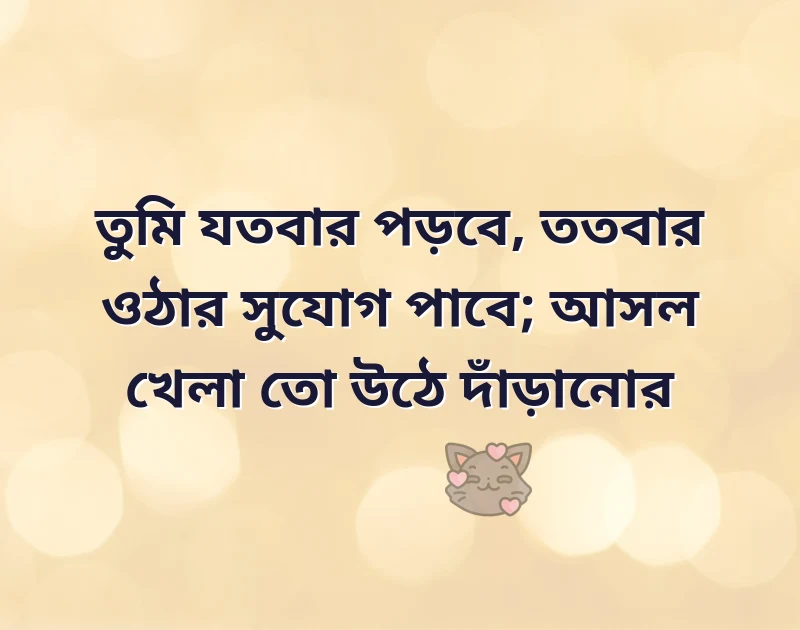 পছন্দের একটি ছবি