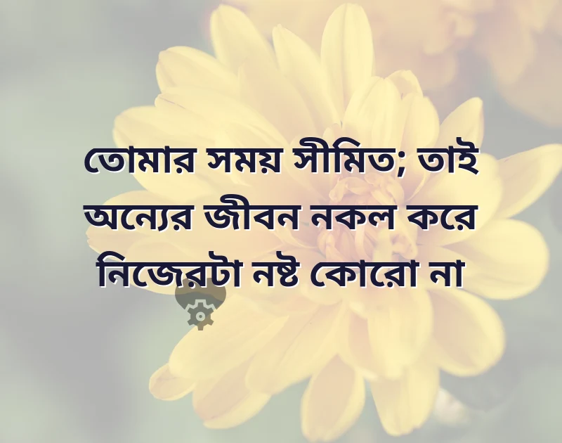 আকর্ষণীয় একটি ছবি