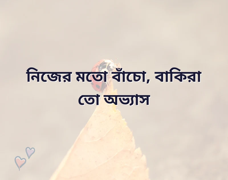 facebook caption বাংলা