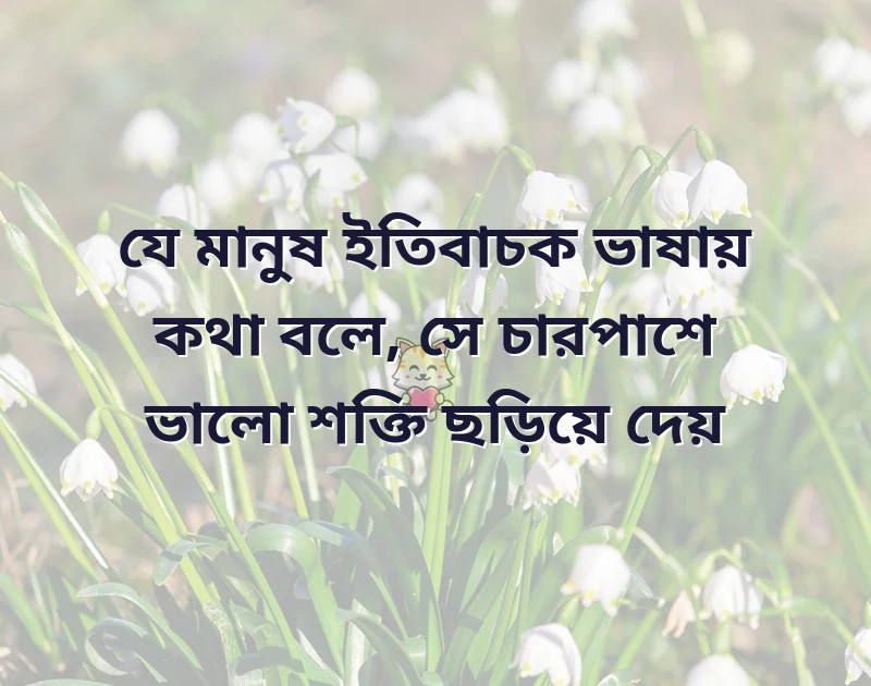 শেয়ার করার মতো ছবি