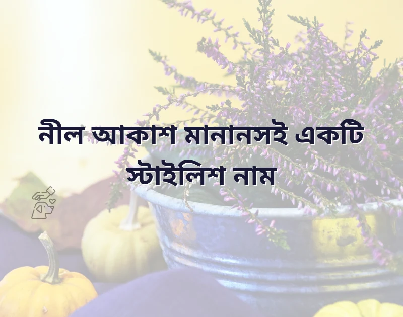 ফেসবুক পেজের সুন্দর নাম