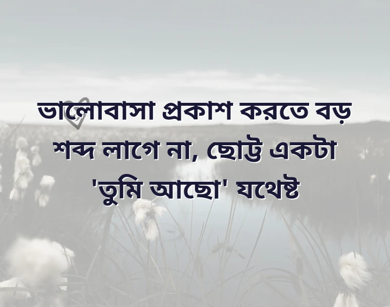 facebook post caption bangla love