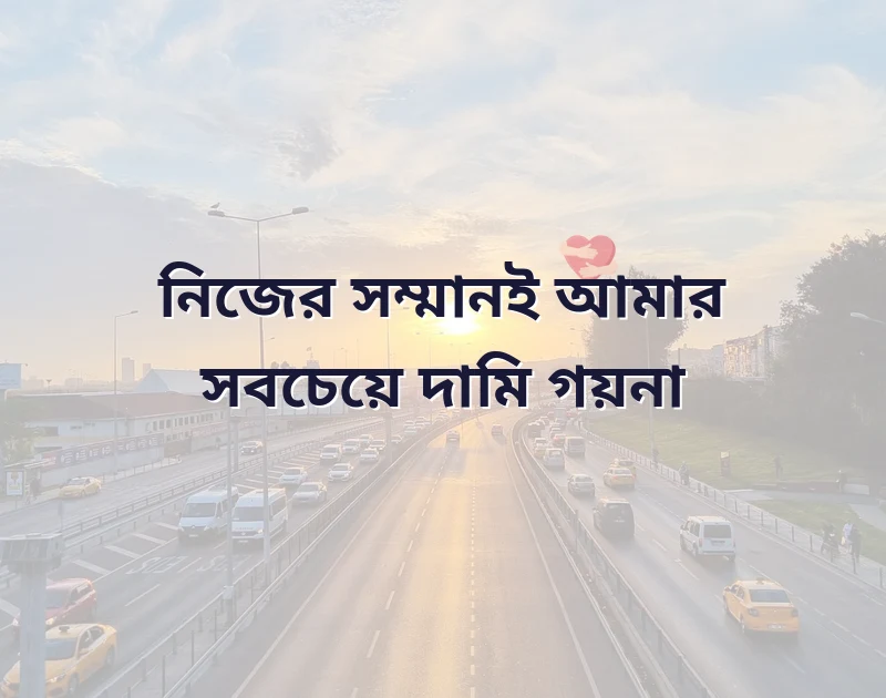 পছন্দের একটি ছবি