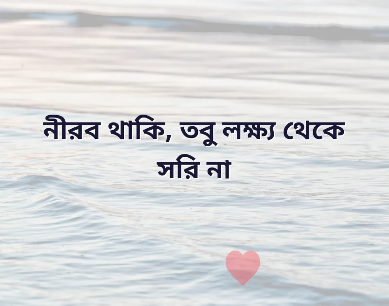 দারুণ একটি ছবি