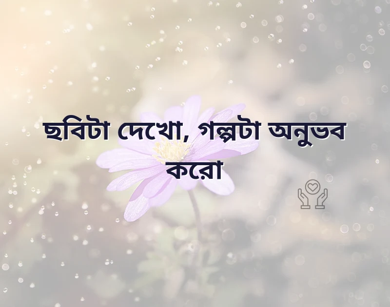 ফেসবুক প্রোফাইল পিকচার ক্যাপশন