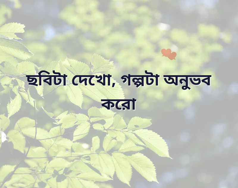 facebook profile picture caption bangla