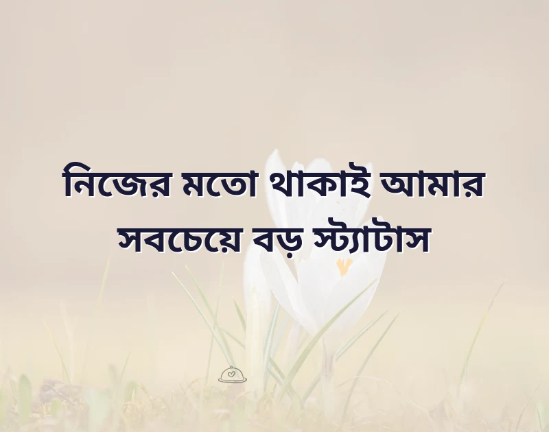 আকর্ষণীয় একটি ছবি