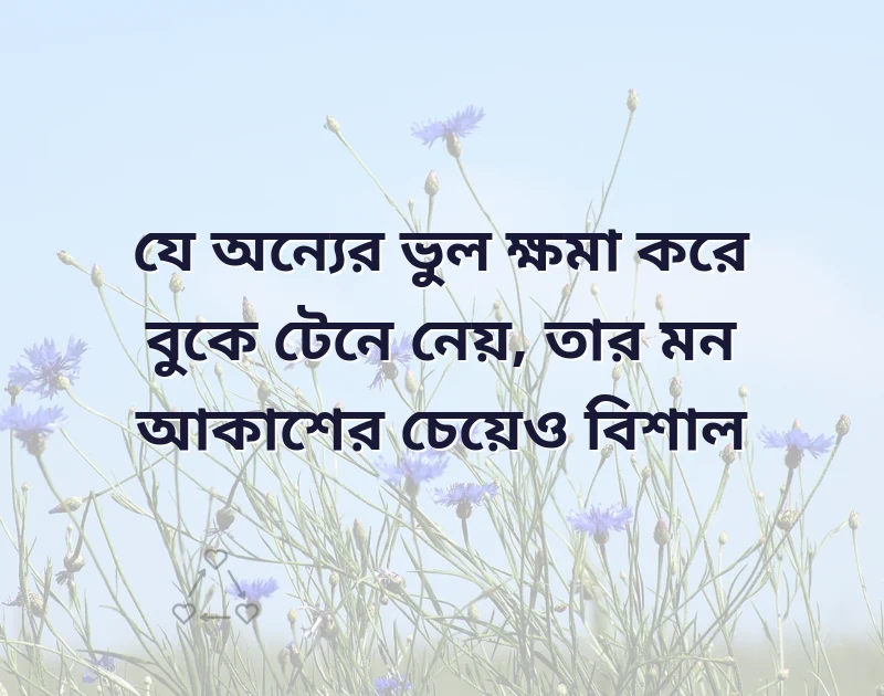 মন ছুঁয়ে যাওয়া ছবি
