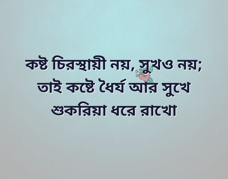 facebook vip bangla pic