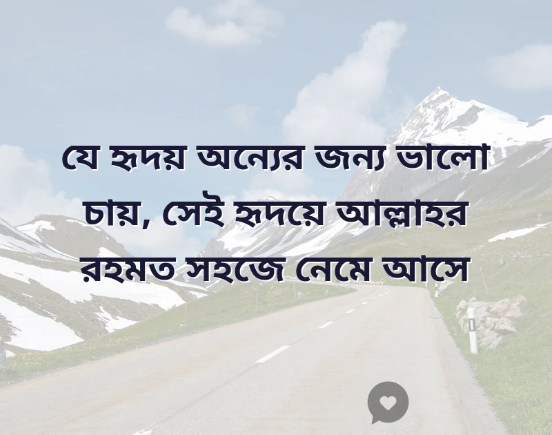 facebook vip bangla quotes