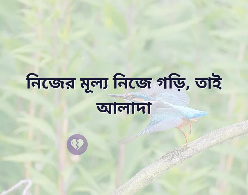 শেয়ার করার মতো ছবি