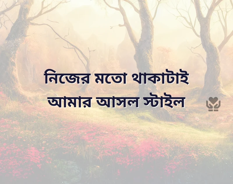 ফেসবুকে প্রোফাইল পিকচার ক্যাপশন
