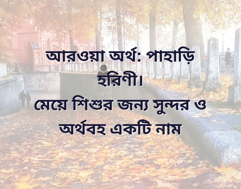 ফেসবুকে স্টাইলিশ নাম বাংলা